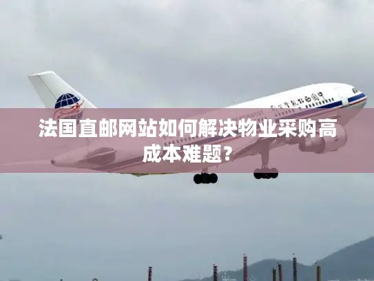 法国直邮网站如何解决物业采购高成本难题？