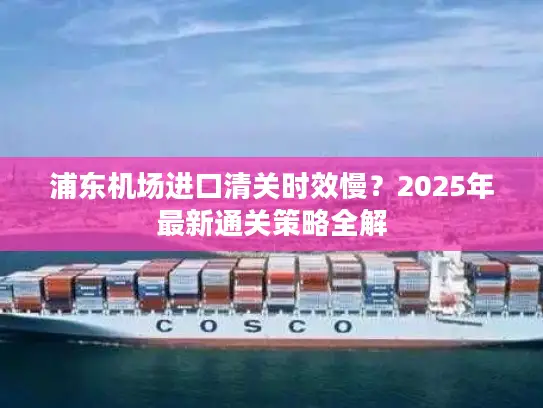 浦东机场进口清关时效慢？2025年最新通关策略全解