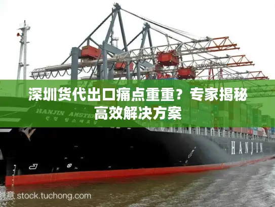 深圳货代出口痛点重重？专家揭秘高效解决方案
