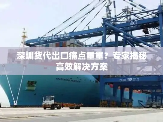 深圳货代出口痛点重重？专家揭秘高效解决方案