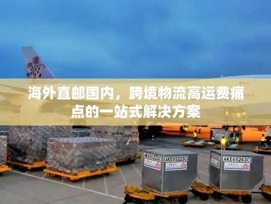 海外直邮国内，跨境物流高运费痛点的一站式解决方案
