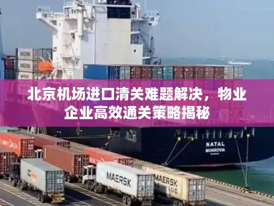 北京机场进口清关难题解决，物业企业高效通关策略揭秘