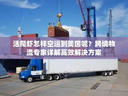 活爬虾怎样空运到美国呢？跨境物流专家详解高效解决方案