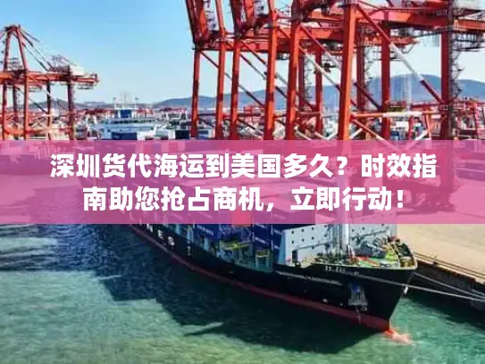 深圳货代海运到美国多久？时效指南助您抢占商机，立即行动！