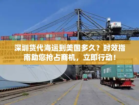 深圳货代海运到美国多久？时效指南助您抢占商机，立即行动！