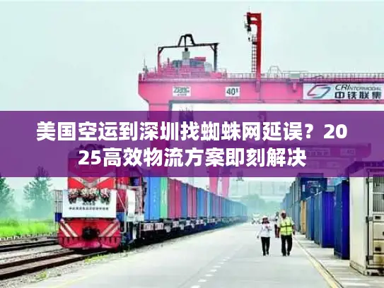 美国空运到深圳找蜘蛛网延误？2025高效物流方案即刻解决