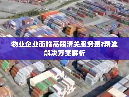 物业企业面临高额清关服务费?精准解决方案解析