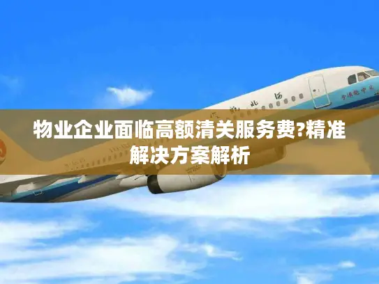 物业企业面临高额清关服务费?精准解决方案解析