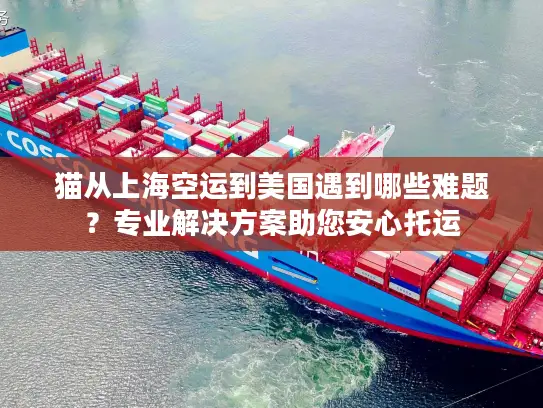 猫从上海空运到美国遇到哪些难题？专业解决方案助您安心托运