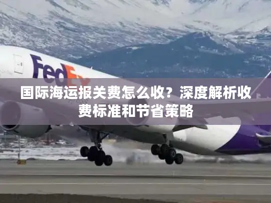 国际海运报关费怎么收？深度解析收费标准和节省策略