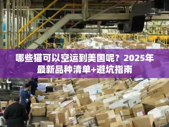 哪些猫可以空运到美国呢？2025年最新品种清单+避坑指南
