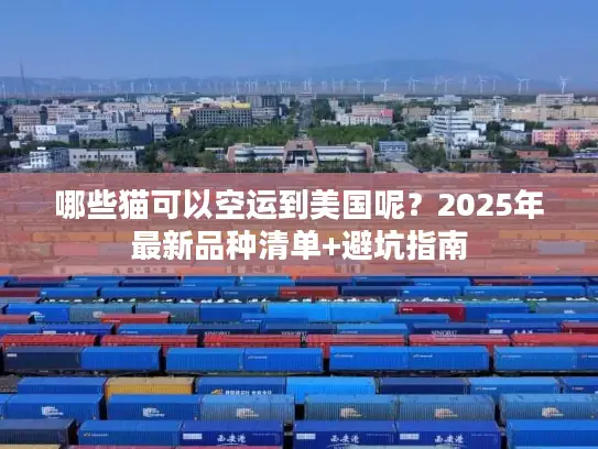 哪些猫可以空运到美国呢？2025年最新品种清单+避坑指南