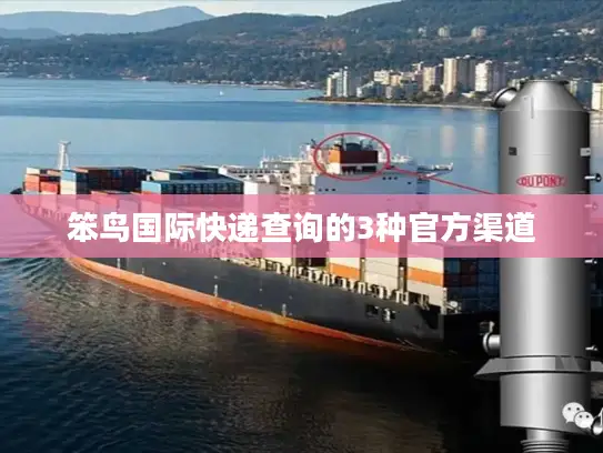 笨鸟国际快递查询的3种官方渠道