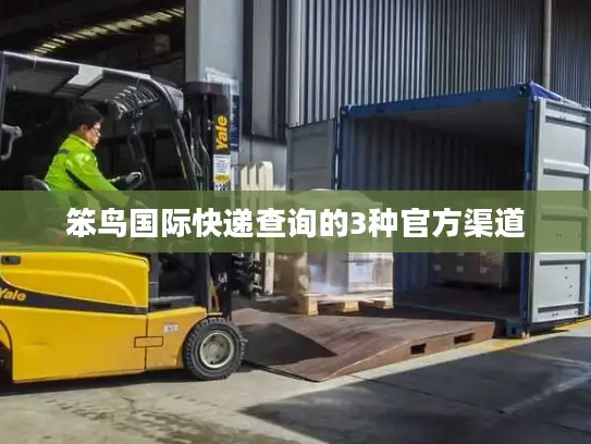 笨鸟国际快递查询的3种官方渠道