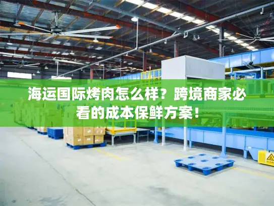 海运国际烤肉怎么样？跨境商家必看的成本保鲜方案！
