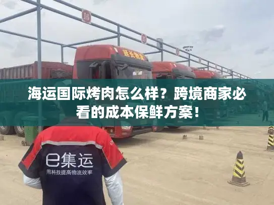 海运国际烤肉怎么样？跨境商家必看的成本保鲜方案！