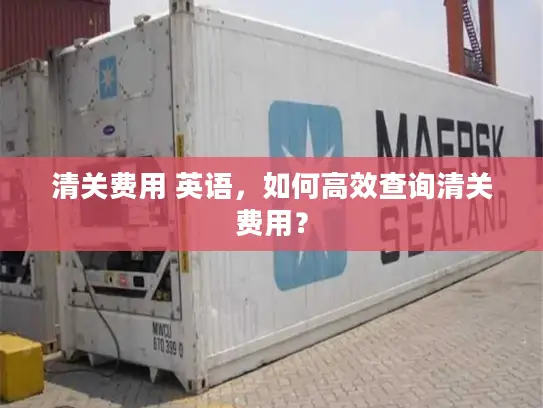 清关费用 英语，如何高效查询清关费用？