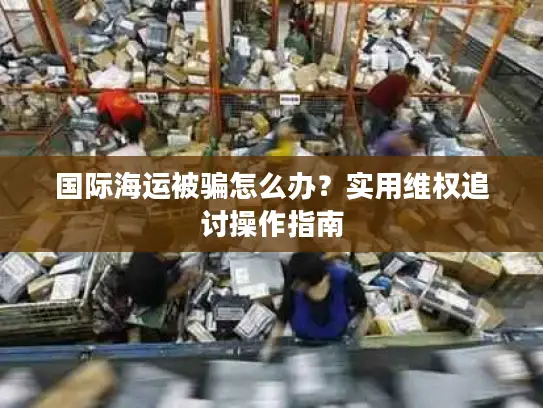 国际海运被骗怎么办？实用维权追讨操作指南