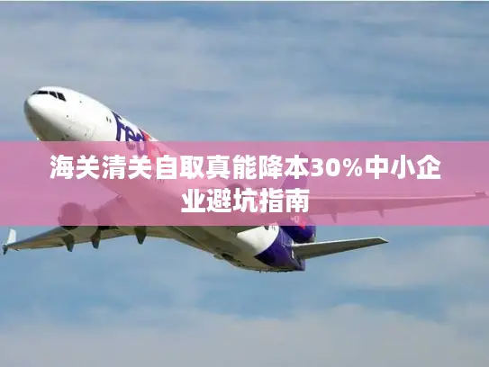 海关清关自取真能降本30%中小企业避坑指南