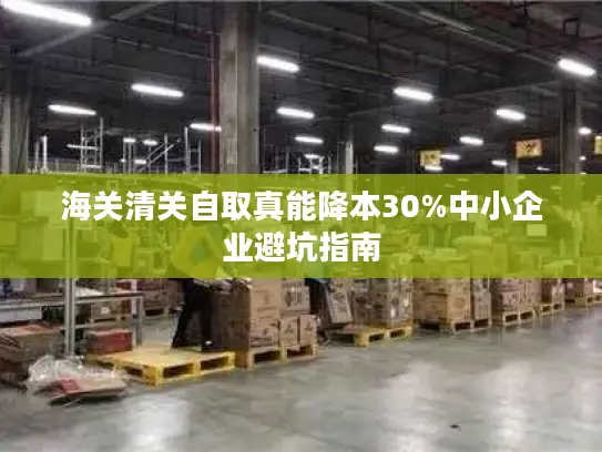海关清关自取真能降本30%中小企业避坑指南