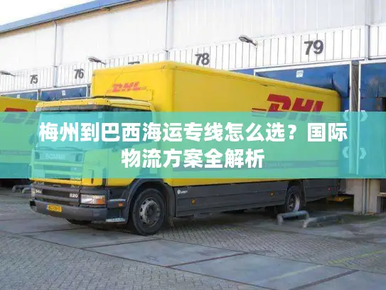 梅州到巴西海运专线怎么选？国际物流方案全解析