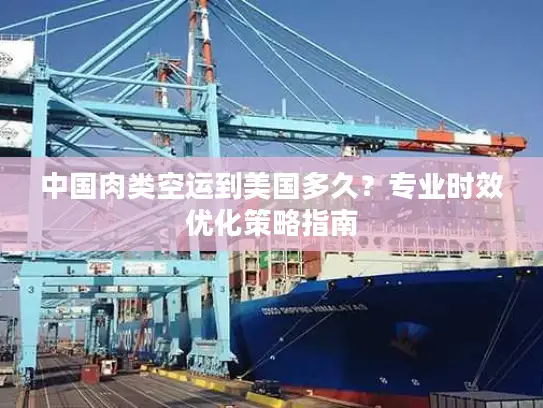 中国肉类空运到美国多久？专业时效优化策略指南