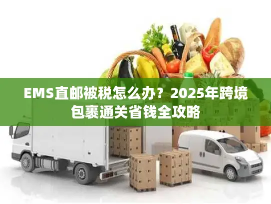 EMS直邮被税怎么办？2025年跨境包裹通关省钱全攻略