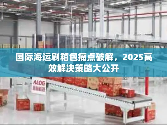 国际海运刷箱包痛点破解，2025高效解决策略大公开