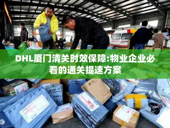 DHL厦门清关时效保障:物业企业必看的通关提速方案