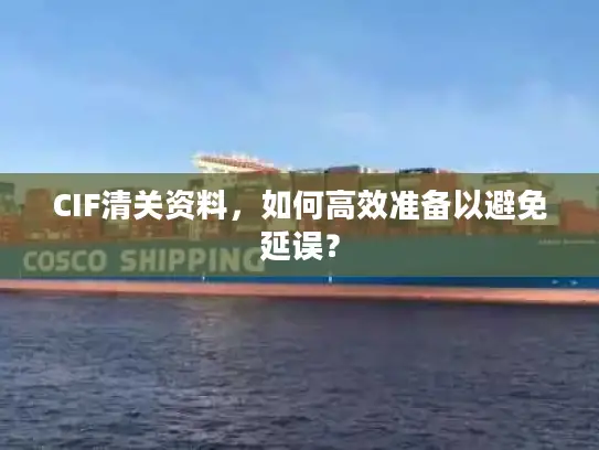 CIF清关资料，如何高效准备以避免延误？