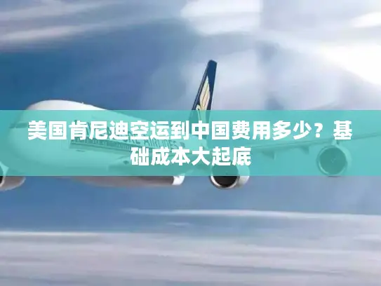 美国肯尼迪空运到中国费用多少？基础成本大起底