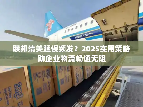 联邦清关延误频发？2025实用策略助企业物流畅通无阻