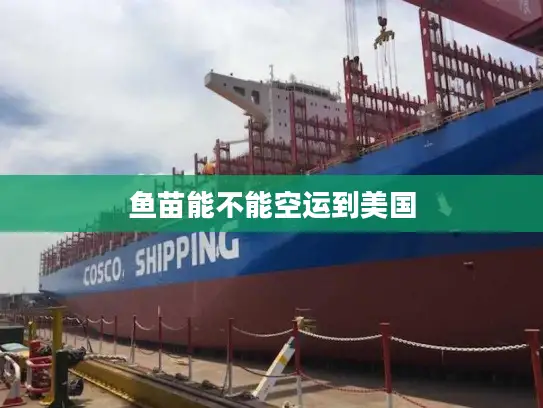 鱼苗能不能空运到美国