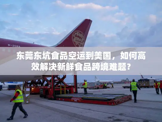 东莞东坑食品空运到美国，如何高效解决新鲜食品跨境难题？