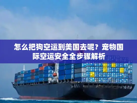 怎么把狗空运到美国去呢？宠物国际空运安全全步骤解析