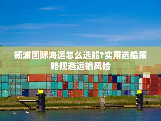 杨浦国际海运怎么选船?实用选船策略规避运输风险