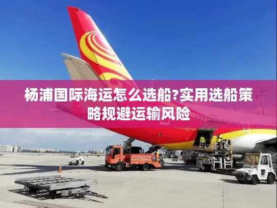 杨浦国际海运怎么选船?实用选船策略规避运输风险