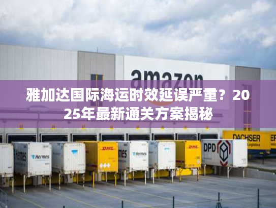 雅加达国际海运时效延误严重？2025年最新通关方案揭秘