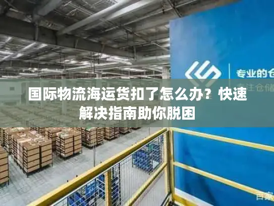 国际物流海运货扣了怎么办？快速解决指南助你脱困