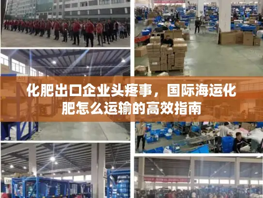 化肥出口企业头疼事，国际海运化肥怎么运输的高效指南