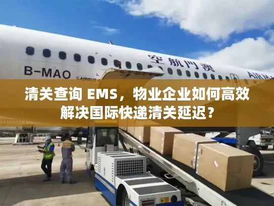 清关查询 EMS，物业企业如何高效解决国际快递清关延迟？