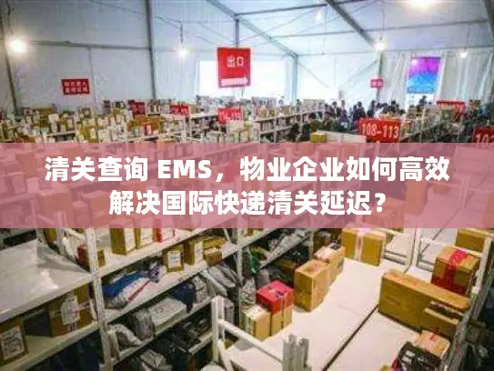 清关查询 EMS，物业企业如何高效解决国际快递清关延迟？