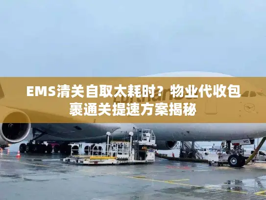 EMS清关自取太耗时？物业代收包裹通关提速方案揭秘