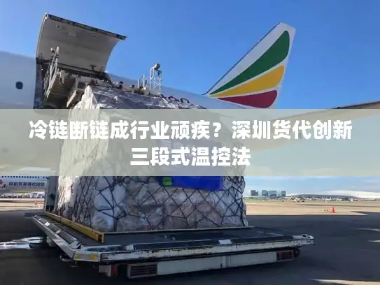 冷链断链成行业顽疾？深圳货代创新三段式温控法