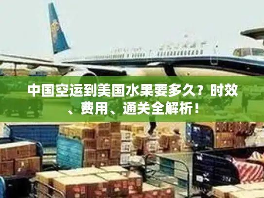 中国空运到美国水果要多久？时效、费用、通关全解析！