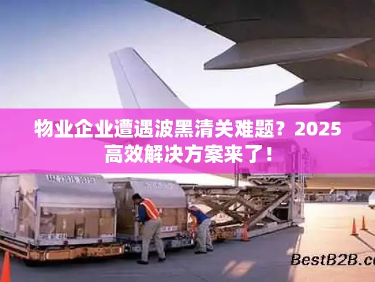 物业企业遭遇波黑清关难题？2025高效解决方案来了！