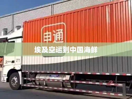 埃及空运到中国海鲜