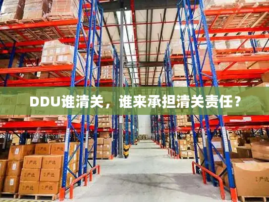 DDU谁清关，谁来承担清关责任？
