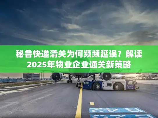 秘鲁快递清关为何频频延误？解读2025年物业企业通关新策略