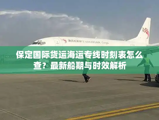 保定国际货运海运专线时刻表怎么查？最新船期与时效解析